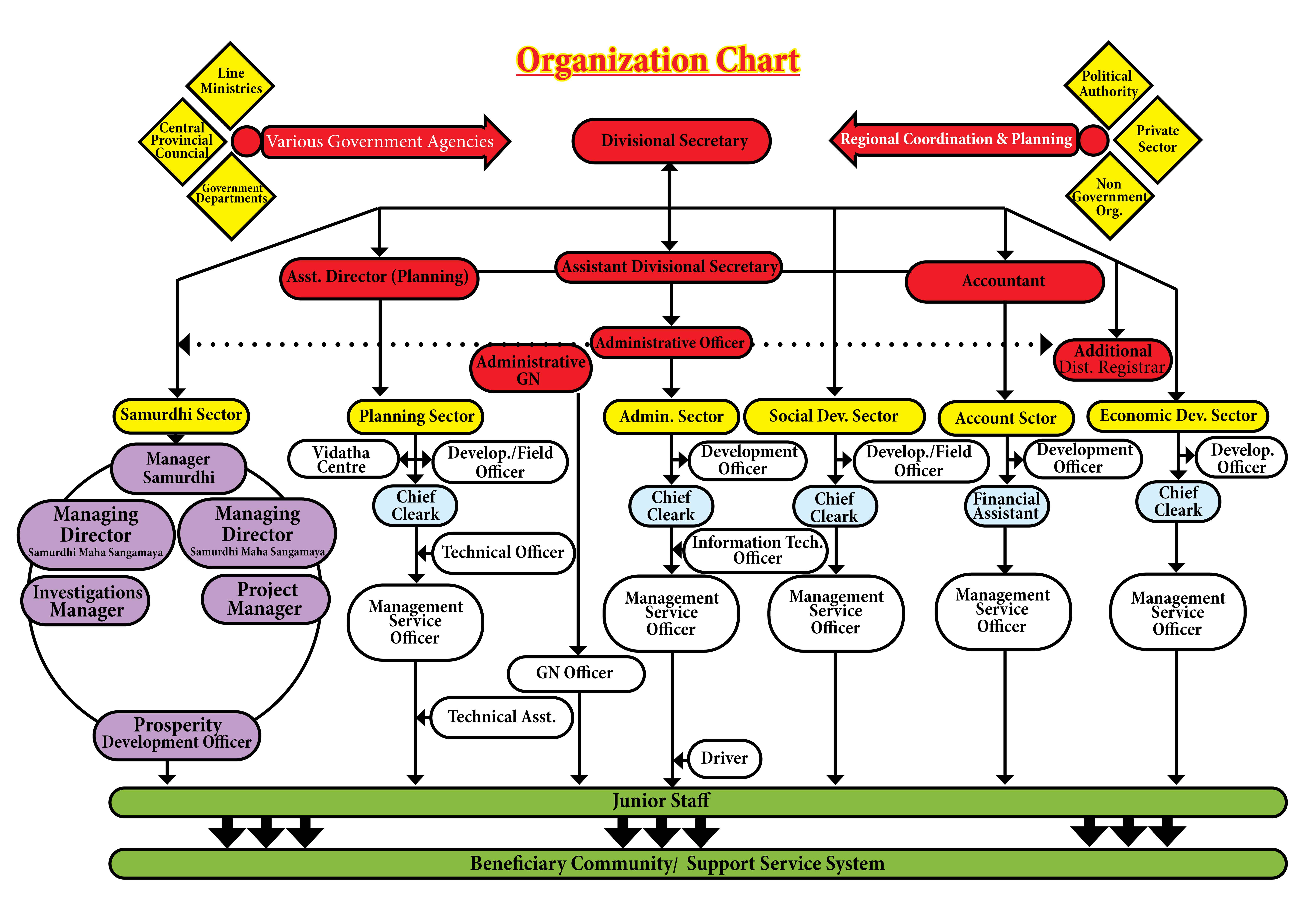 Organization Chart English