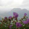 Yatawatta Nature